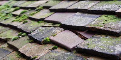 Willingdon roof repair costs